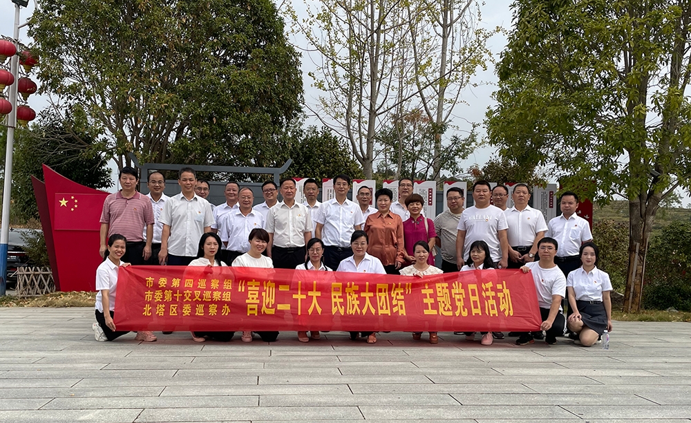 打造巡察战线的“红色引擎”——邵阳市委第四巡察组临时党支部工作纪实_邵阳头条网