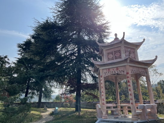 【清廉建设进行时】寸石镇：积极打造清廉文化阵地_邵阳头条网